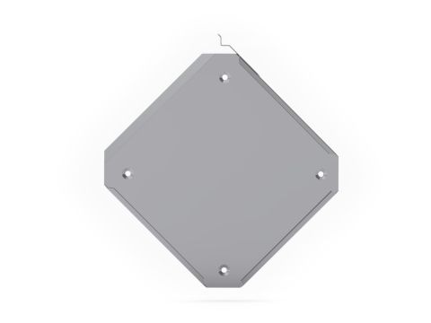 Varoituskilpikotelo 250 x 250 RST